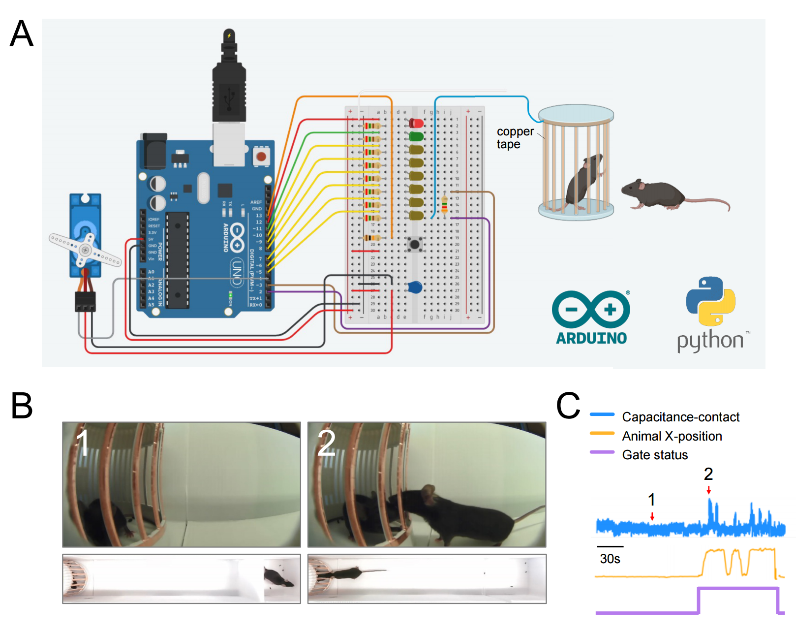 Custom capacitive sensor device for measuring mouse social contact